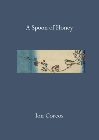 A Spoon of Honey - Front Cover
