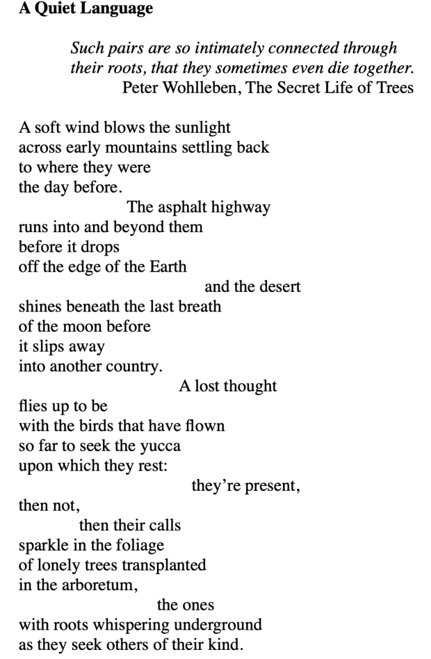 Screenshot 2018-11-28 at 09.10.15